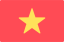 Flag VN
